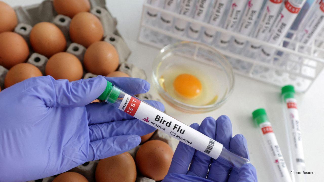 Bipartisan Call for Urgent Action on Bird Flu Vaccine Amid Rising Outbreak