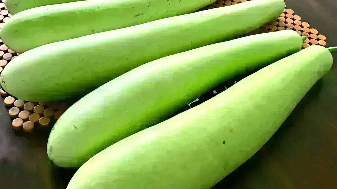 10 Nutritious and Tasty Ways to Incorporate Bottle Gourd into Your Meals