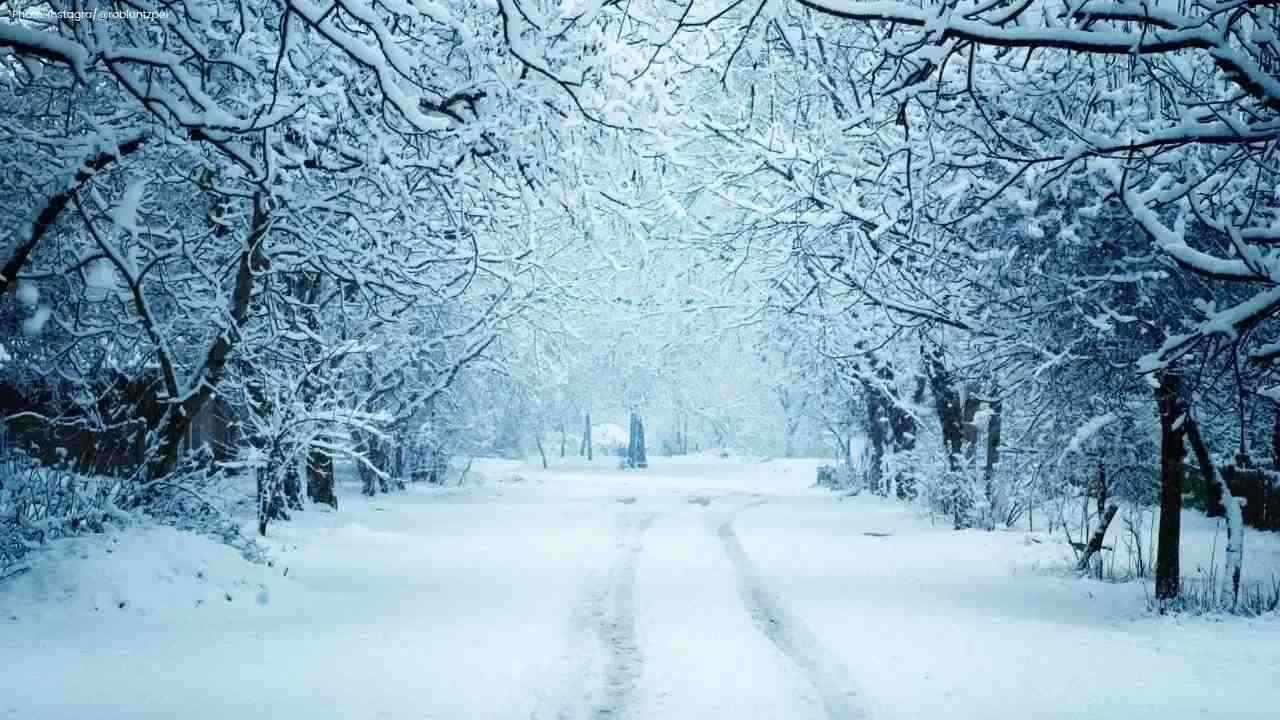 Canada Prepares for a Chaotic Winter Amid Climate Factors