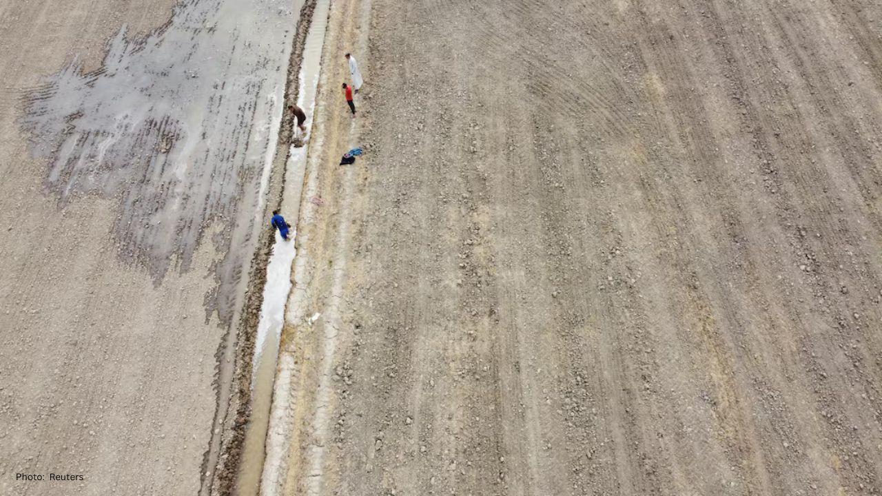 Iraq's Wheat Self-Sufficiency Dreams Hindered by Water Shortages