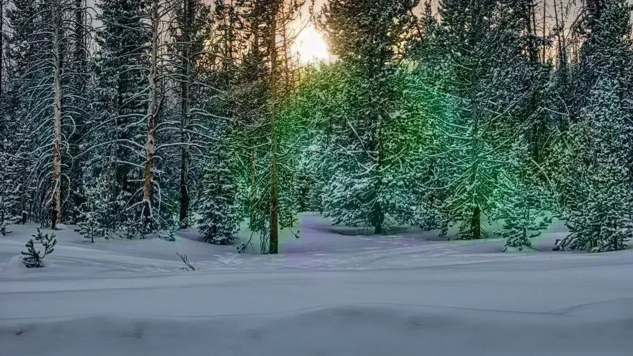 Severe Blizzard Hits Nova Scotia: Travel Disruptions Abound