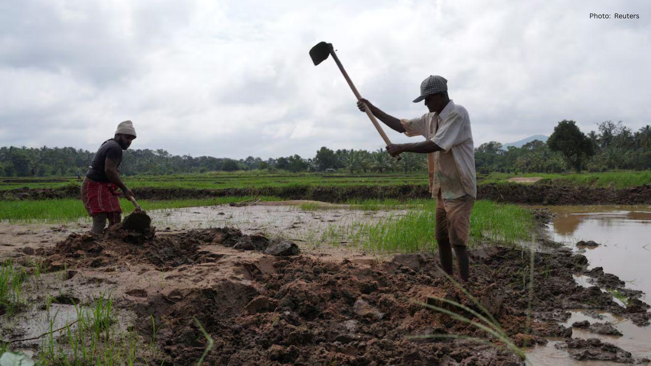 Farmers in Sri Lanka Grapple With Aftermath of Cyclone Ditwah
