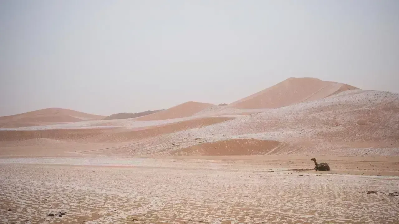 Unprecedented Snowfall Blankets Northern Saudi Arabia After 30 Years