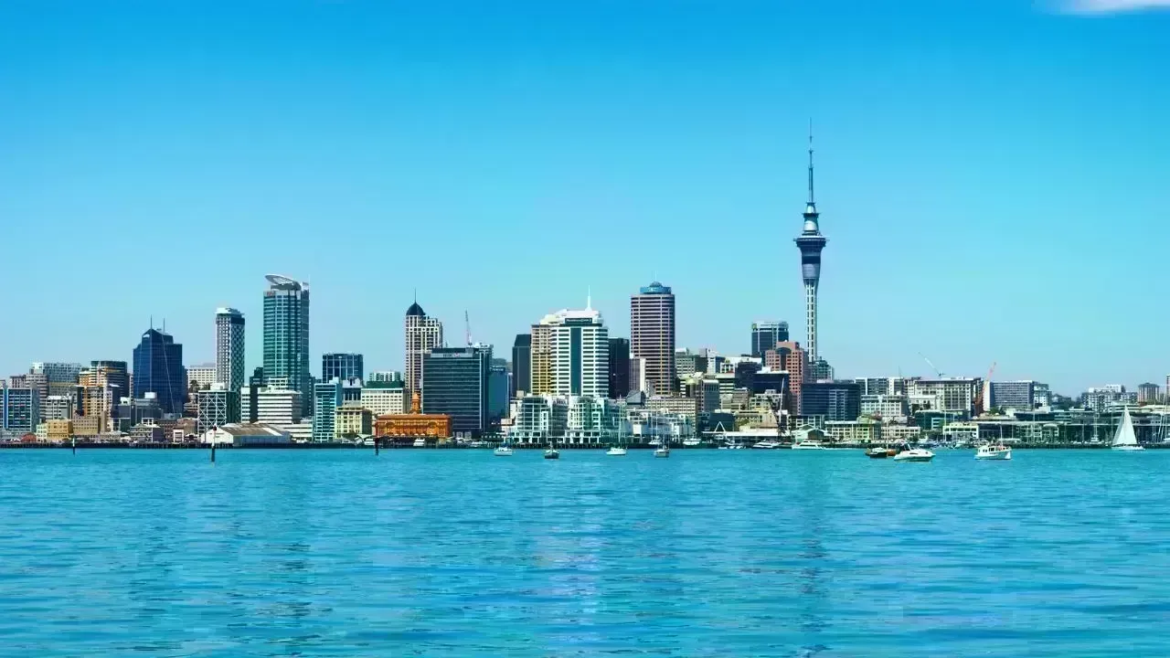 New Zealand Finalises India Trade Deal After Long Talks