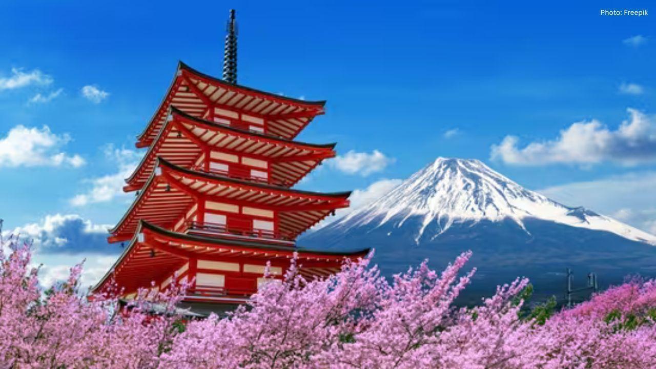 Essential Travel Tips for Your First Adventure in Japan