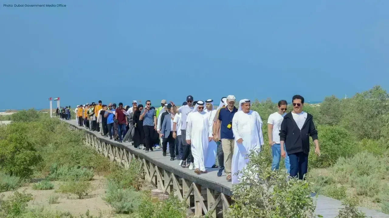 Major Mangrove Initiative by DEWA and DECCA at Jebel Ali