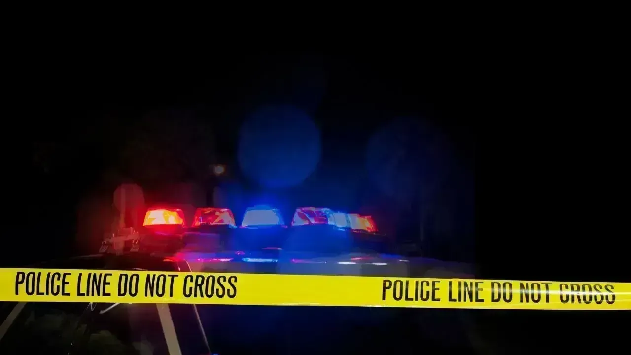 Two Telangana Women Die in California Road Accident, Families Seek Help