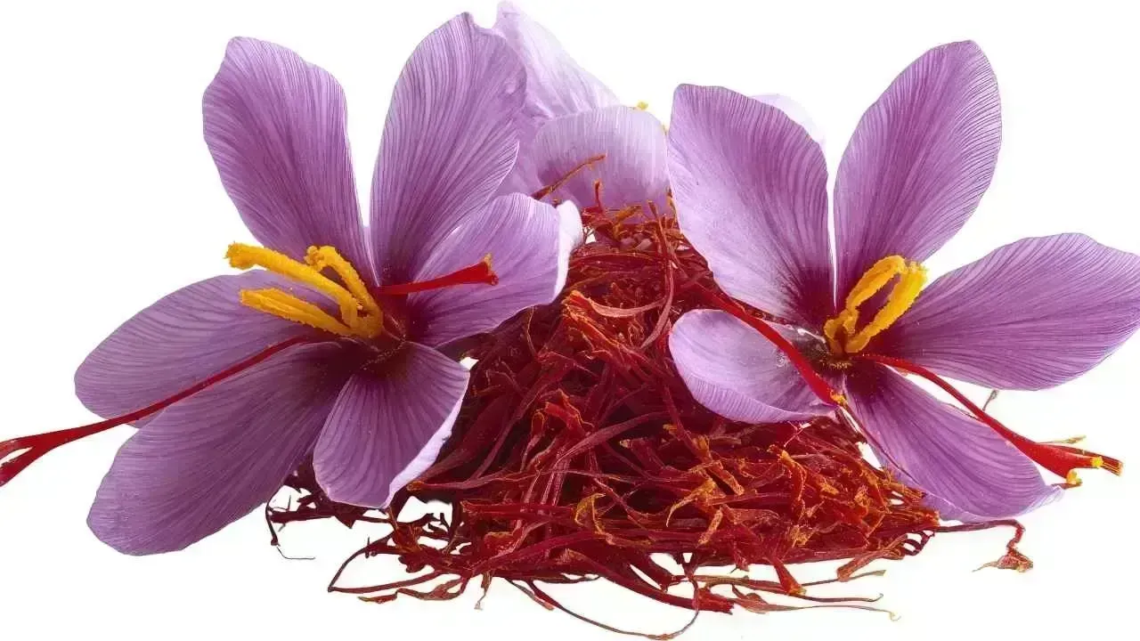Unveiling the Top 5 Health Benefits of Saffron (Kesar)