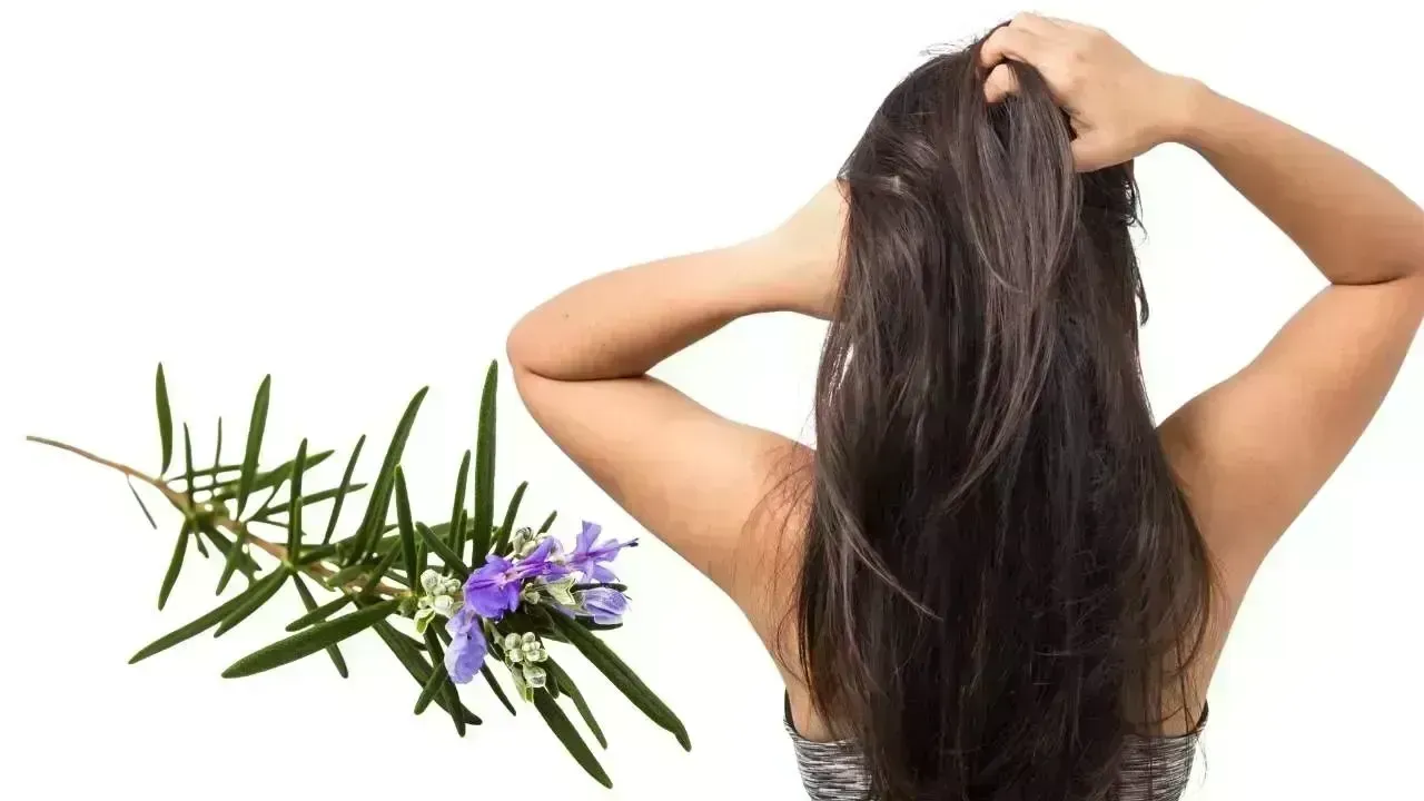 Proven Techniques for Thicker Hair: From Rosemary Oil to Scalp Scrubs
