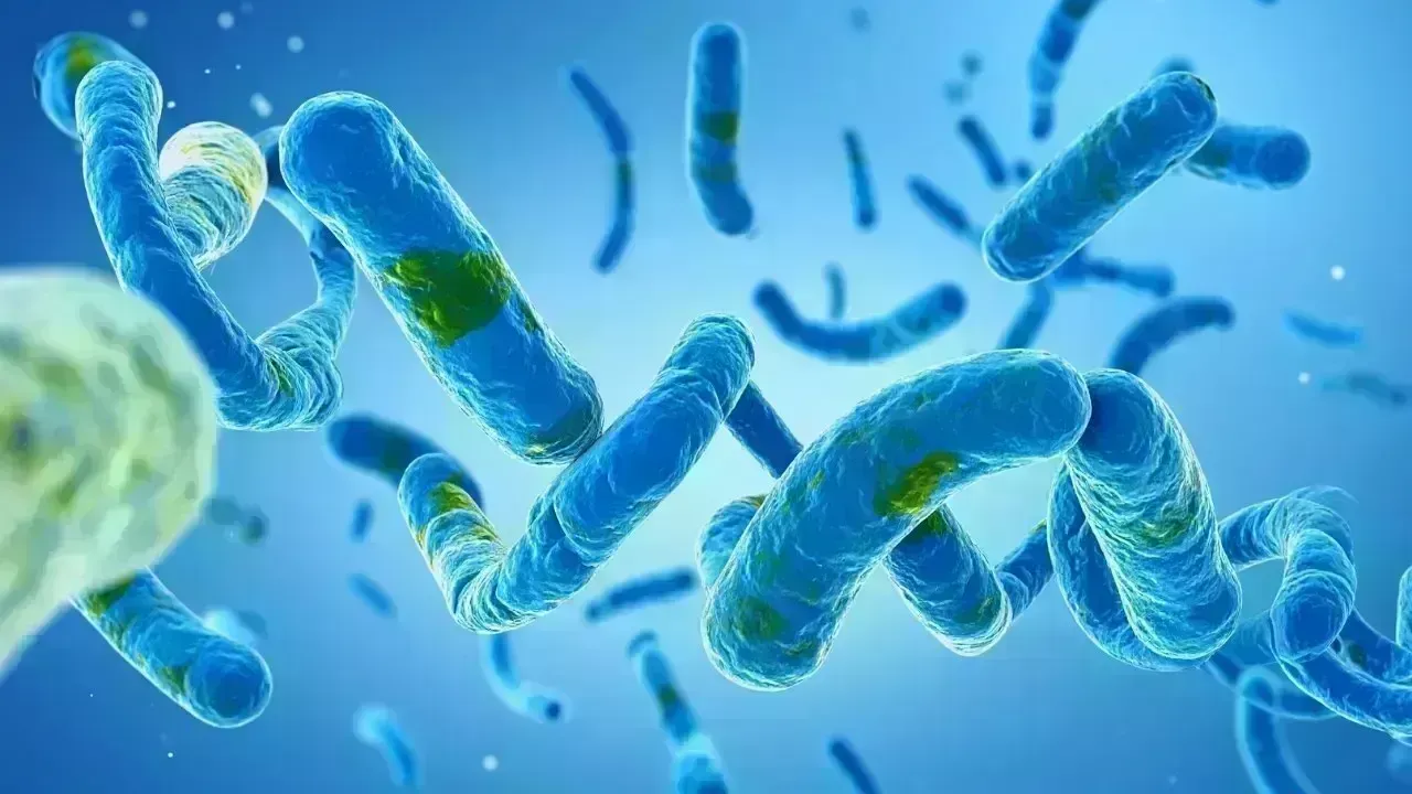 Emerging Infectious Diseases: What Health Agencies Are Monitoring as Global Health Risks Rise