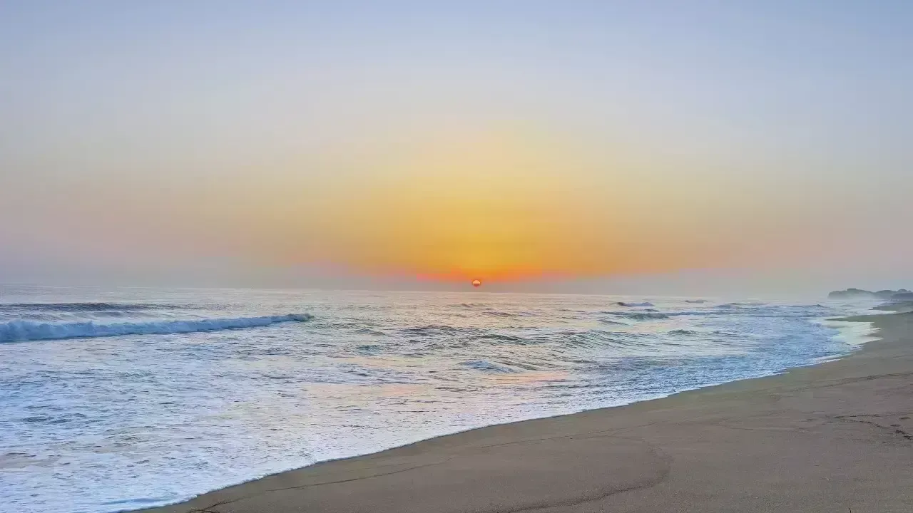 A Pact for the Planet’s Last Frontier: New Ocean Treaty Signed—What It Protects and Why It Matters