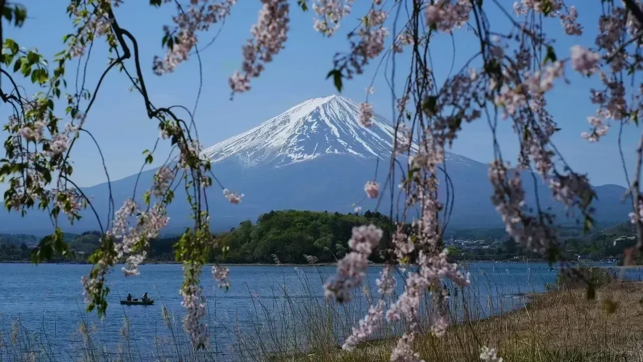 Why Japan Is Trending as the Most Searched Travel Destination Right Now