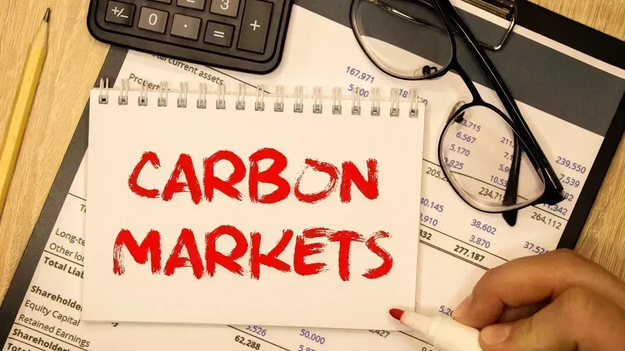Why Carbon Markets Are Gaining Policy Attention Across the World