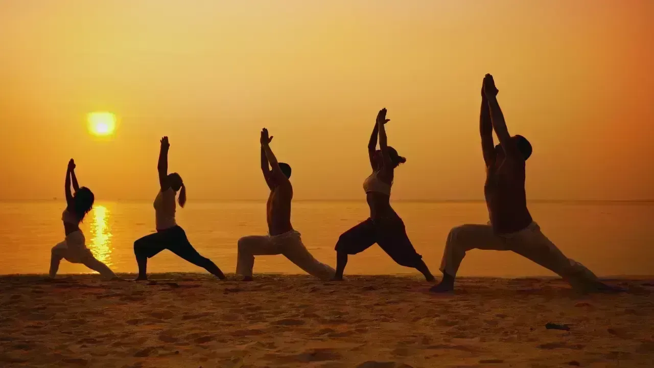 Yoga & Holistic Health Search Trends: Why the World Is Turning Inward