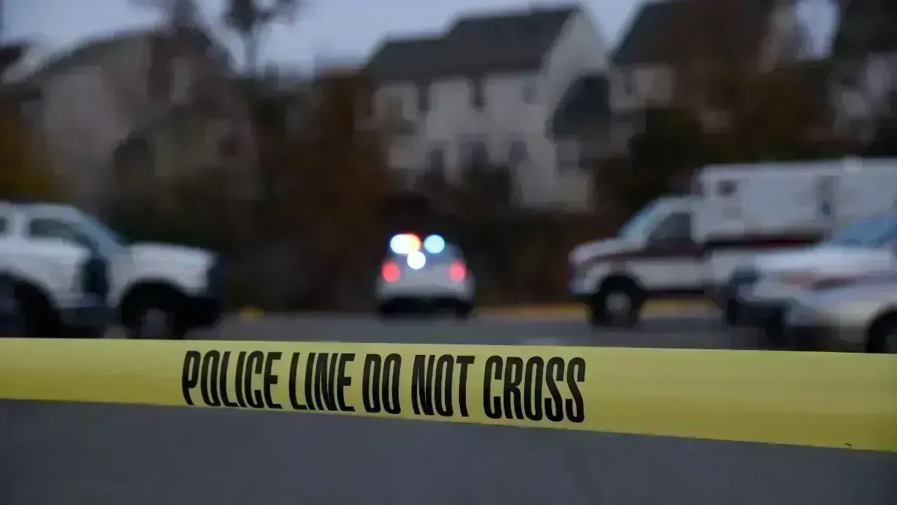 Indian-Origin Woman Charged With Killing Two Young Sons in US