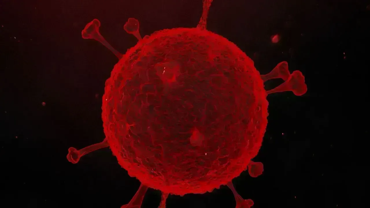 Norovirus Outbreak Hits Foshan School, 103 Students Fall Ill