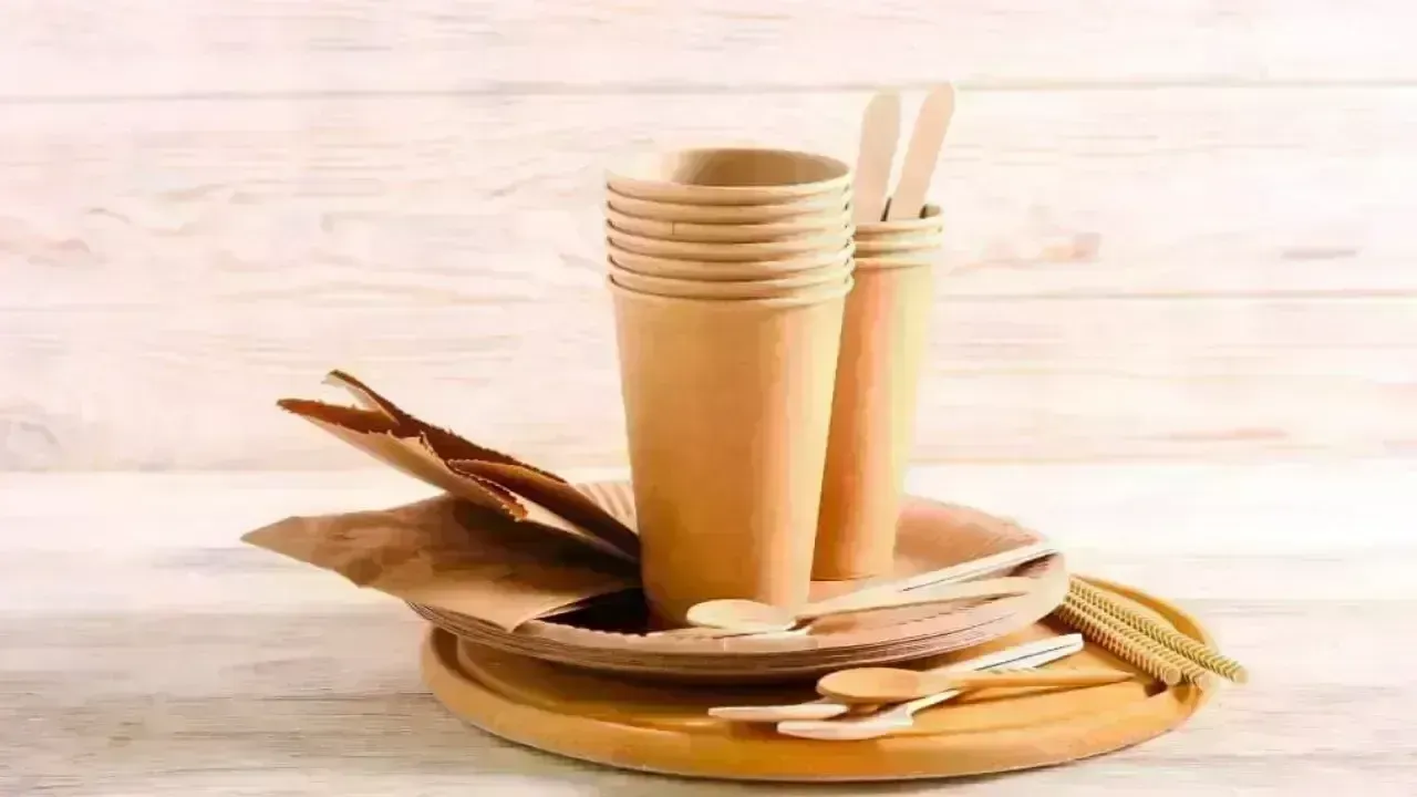 Plastic Alternatives Trending Globally: Innovations, Impact & Future Prospects