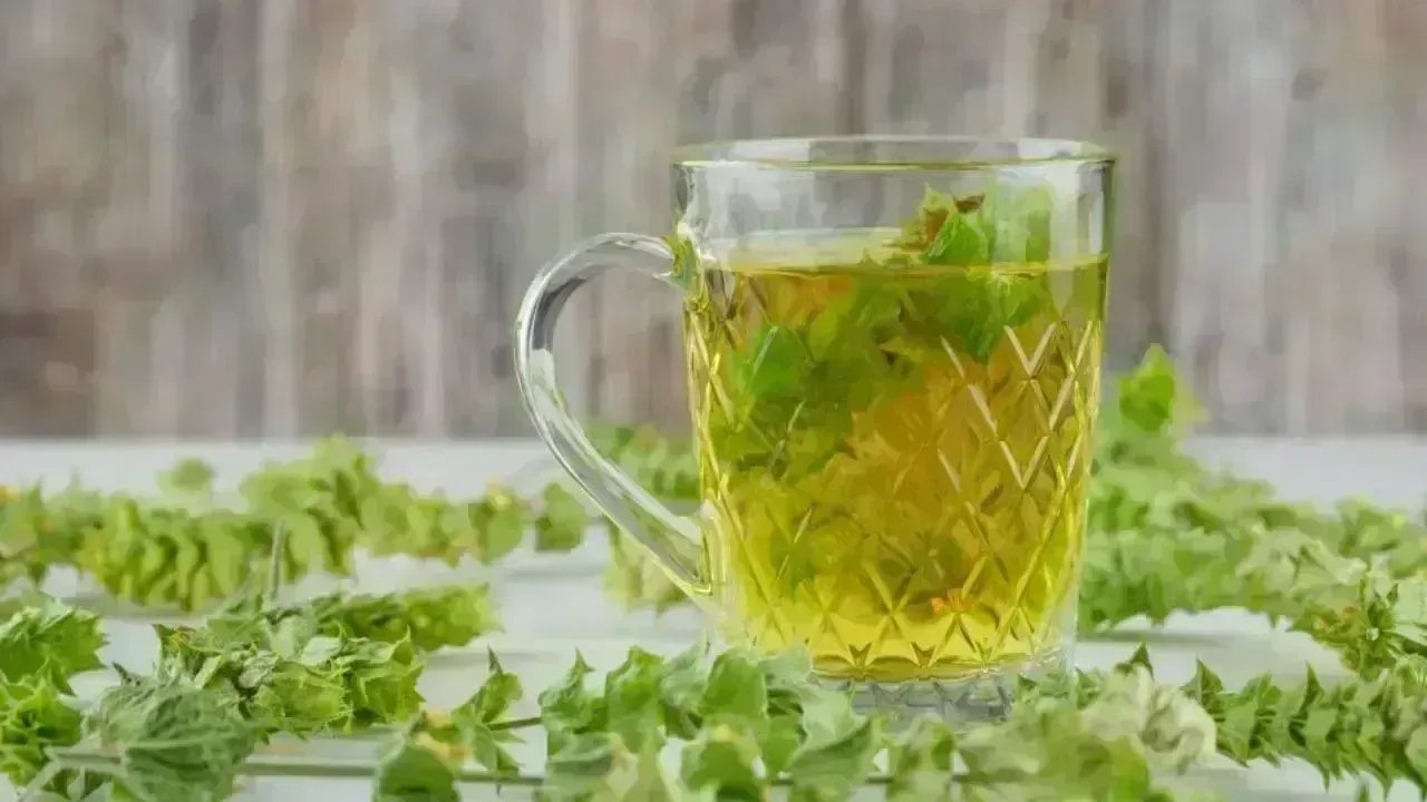 7 Benefits of Consuming Holy Basil Water Each Morning