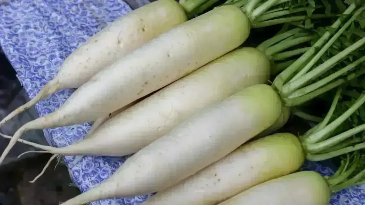 Discover 6 Remarkable Health Benefits of Radish