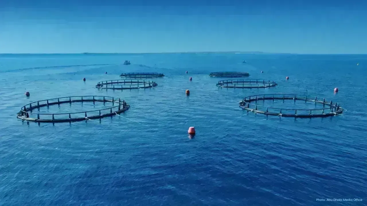 Abu Dhabi’s Vision for 100% Sustainable Fisheries by 2025