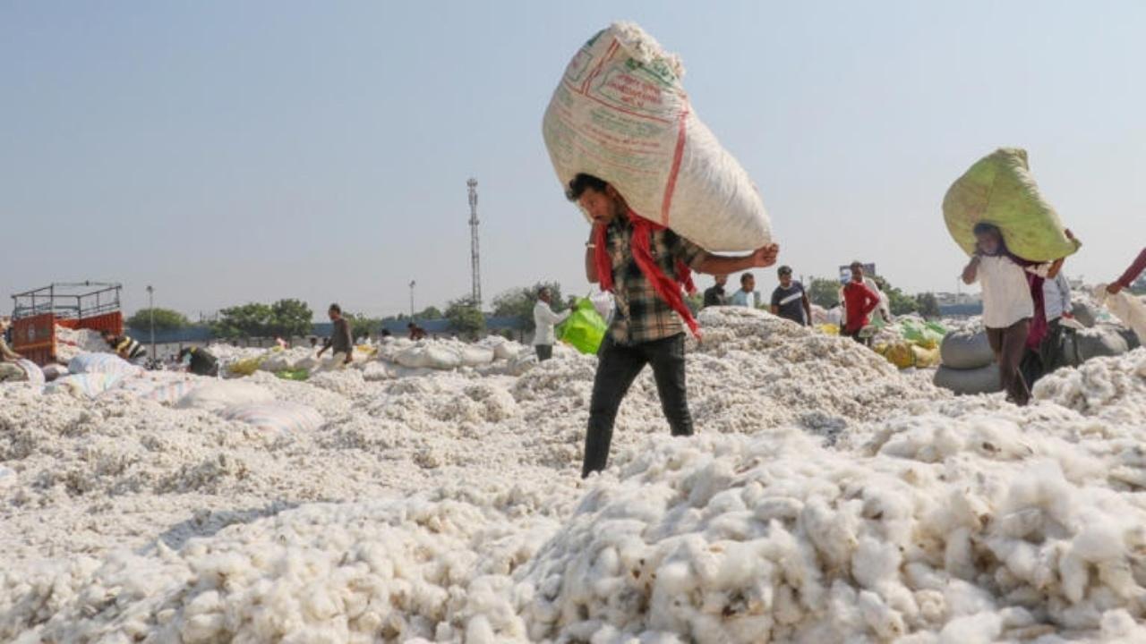 Bangladesh’s Textile Shift: From Indian Cotton to US Supply Under New Trade Pact