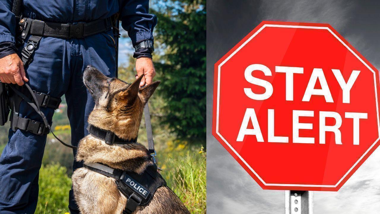 Australian PM Residence Evacuated Over Email Bomb Threat to Shen Yun