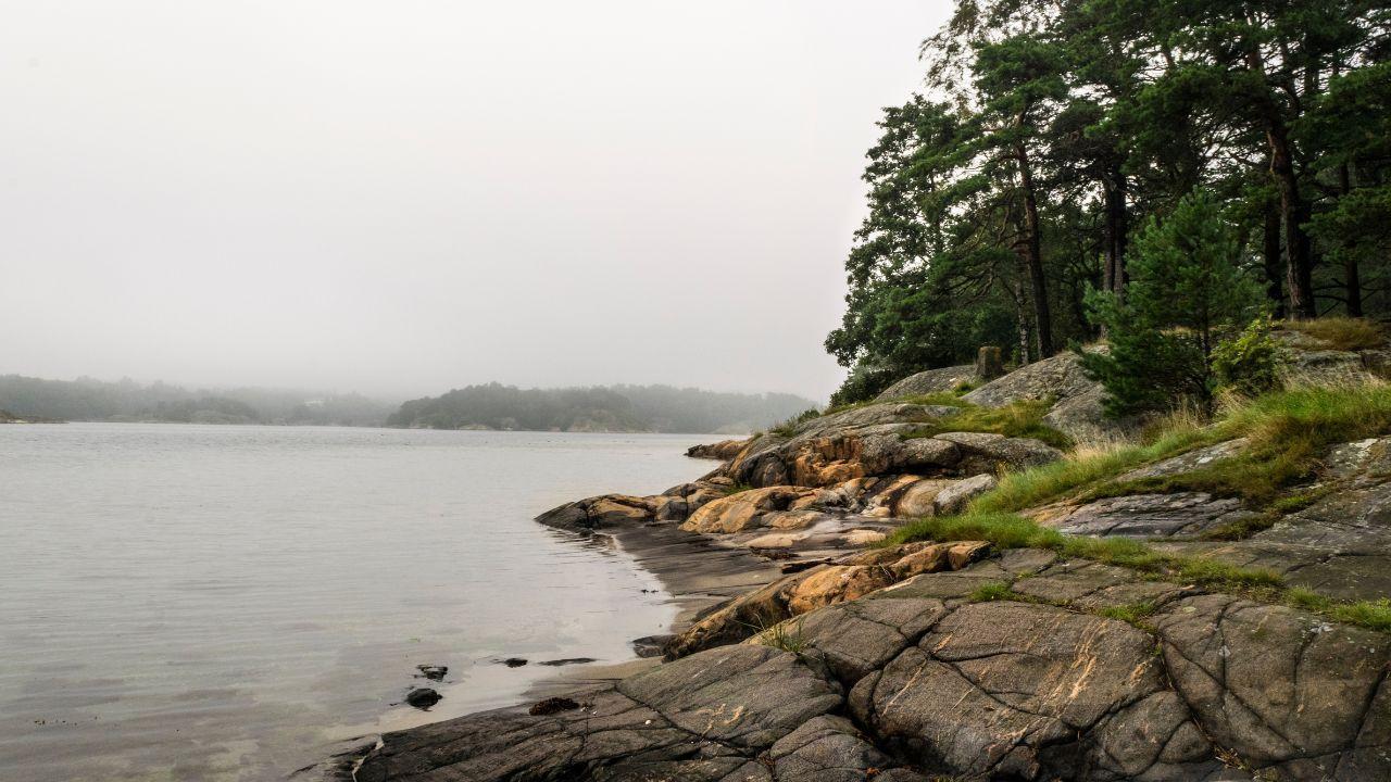 24 dead as bus falls into river in Bangladesh