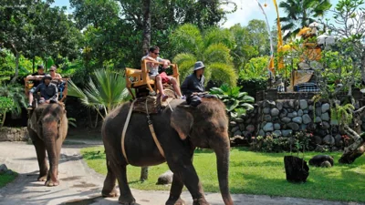 New Climate Funding Model Launched in Indonesia