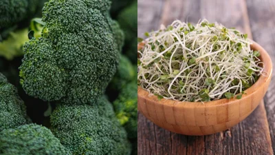 Murakami Farm Boosts Taiwan Sprout Sales