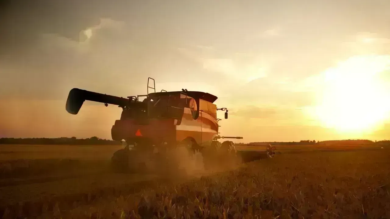 Wheat Harvest Kicks Off in Dhofar's Al Najd Region