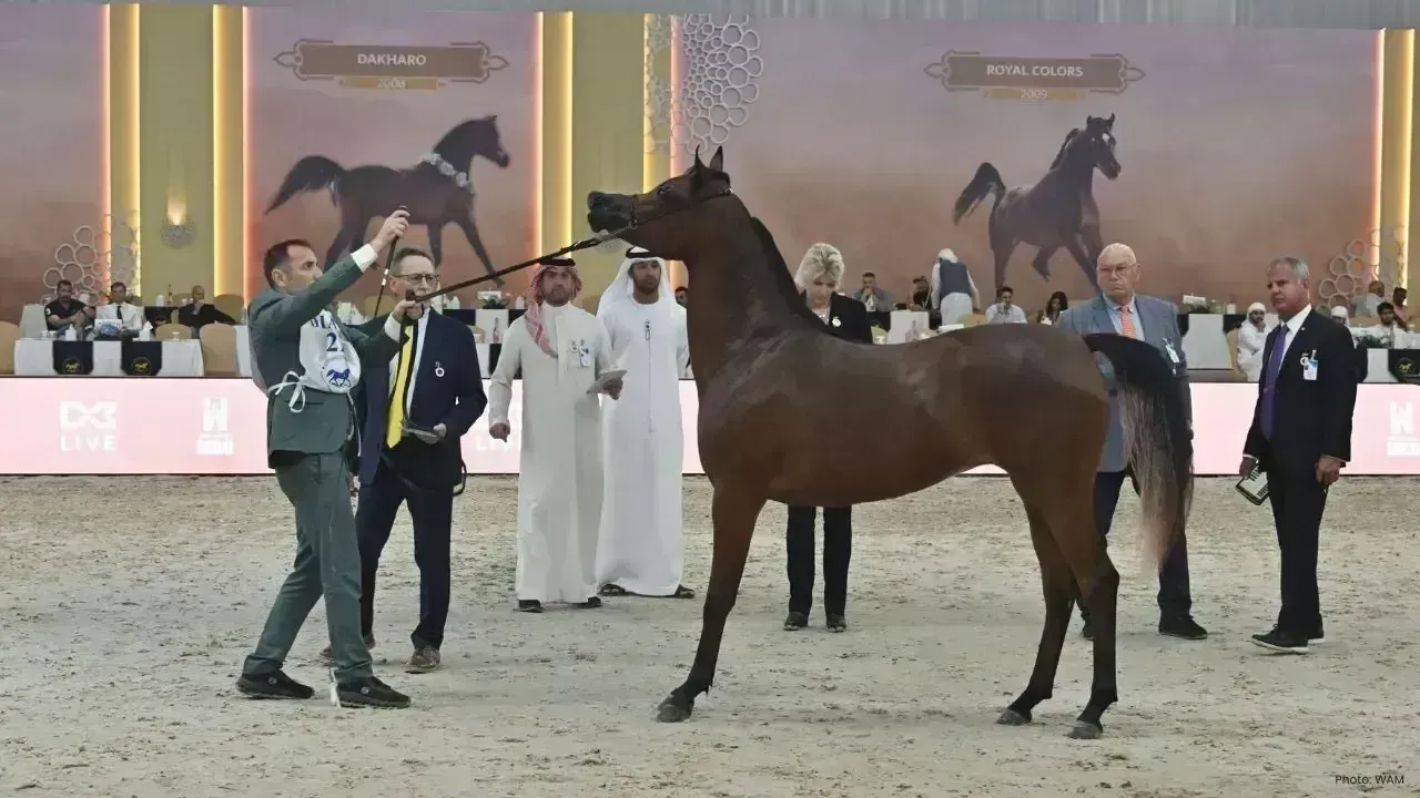 Grand Opening of the 2026 Dubai Arabian Horse Championship