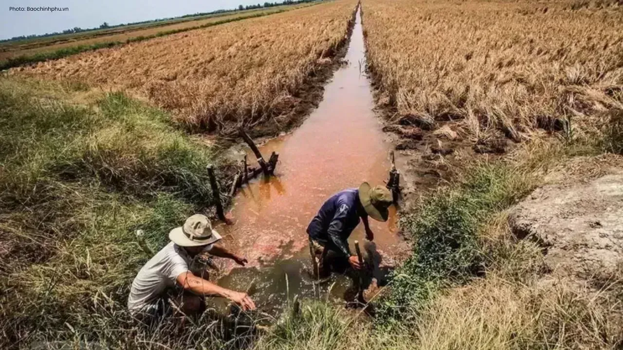 Saltwater Intrusion Rises in Mekong Delta