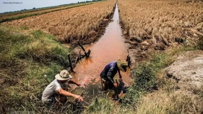 Saltwater Intrusion Rises in Mekong Delta