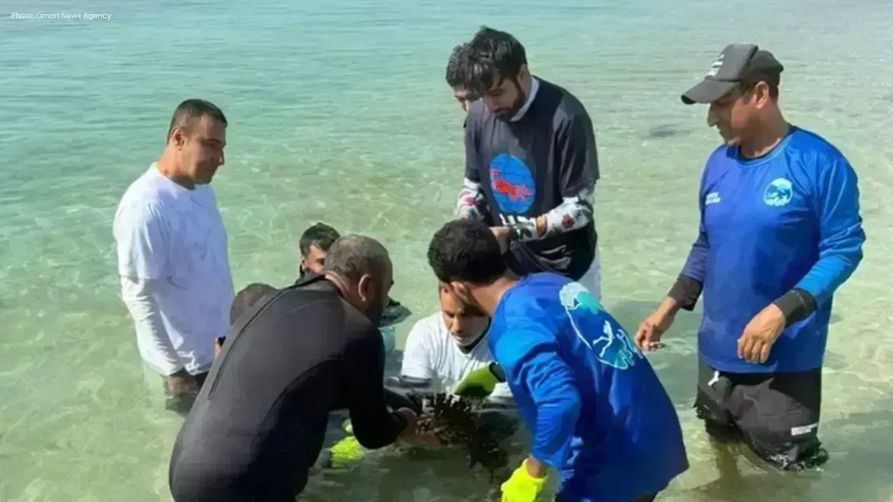 Oman Launches Coral Reef Cultivation Project