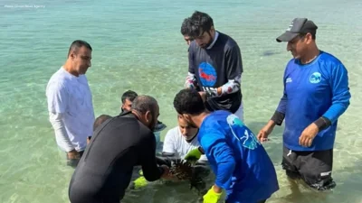 Oman Launches Coral Reef Cultivation Project