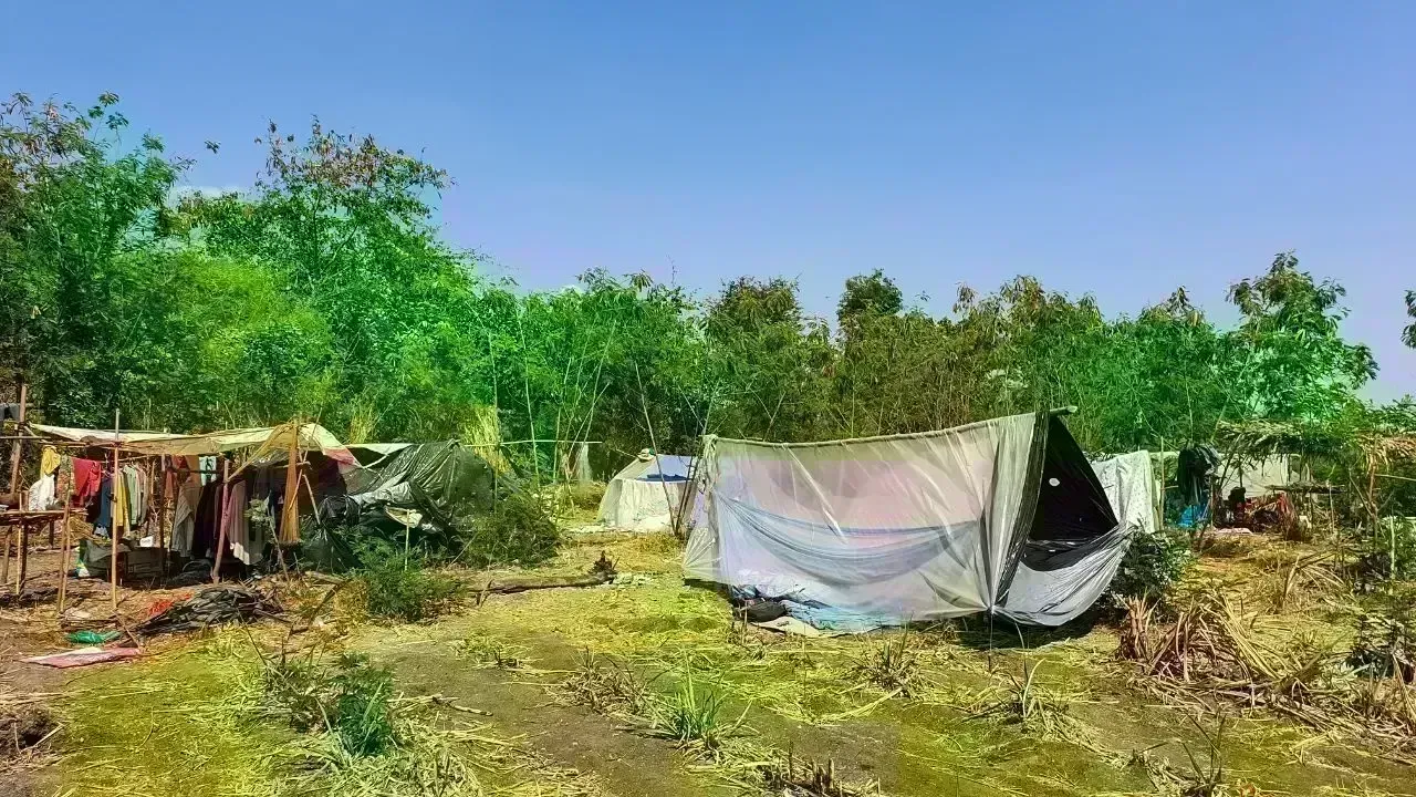 UN Warns of Disease Risk in Gaza Camps