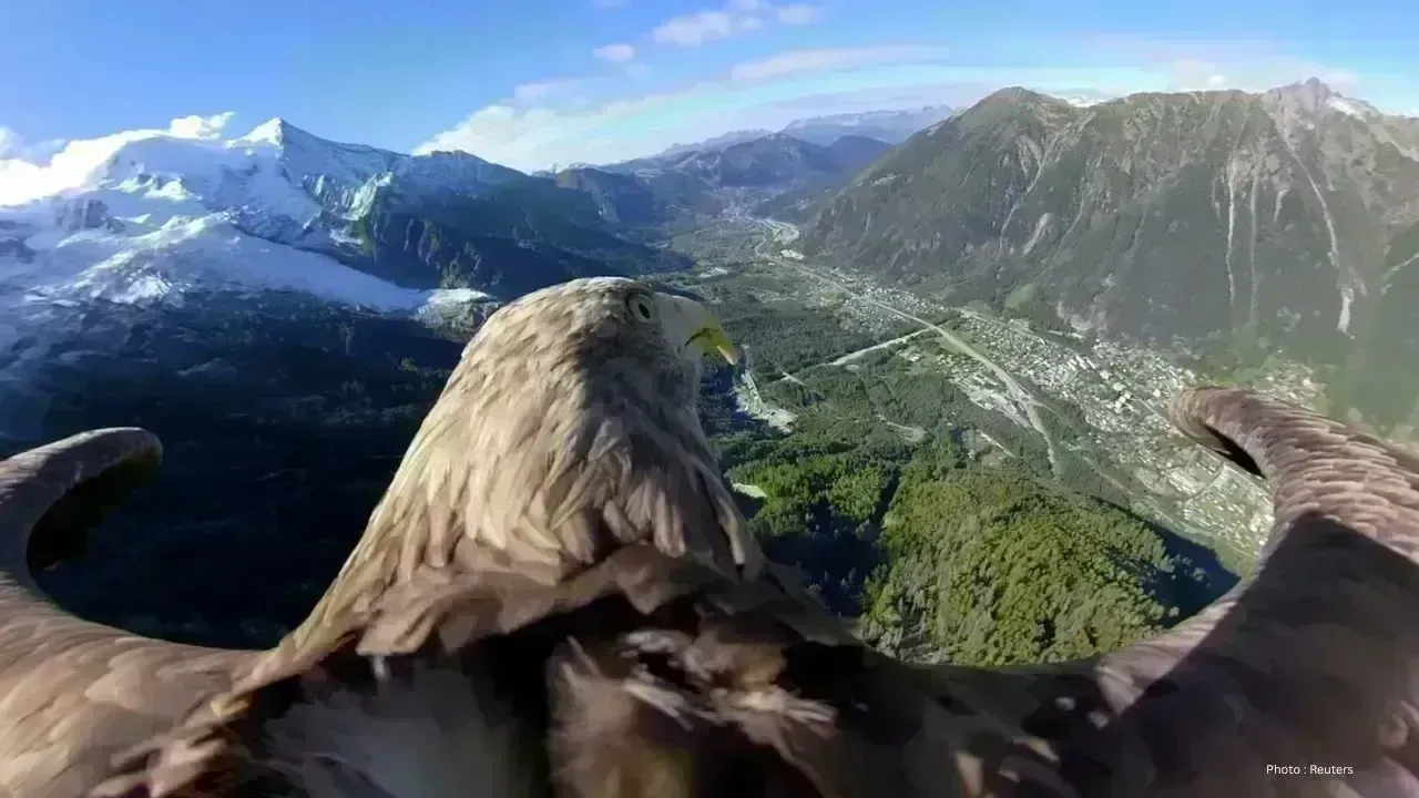 Canada's Bold New Initiative for Environmental Preservation