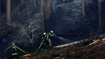 Wildfires Rage in Iwate, Japan: Over 3,000 Residents Evacuated