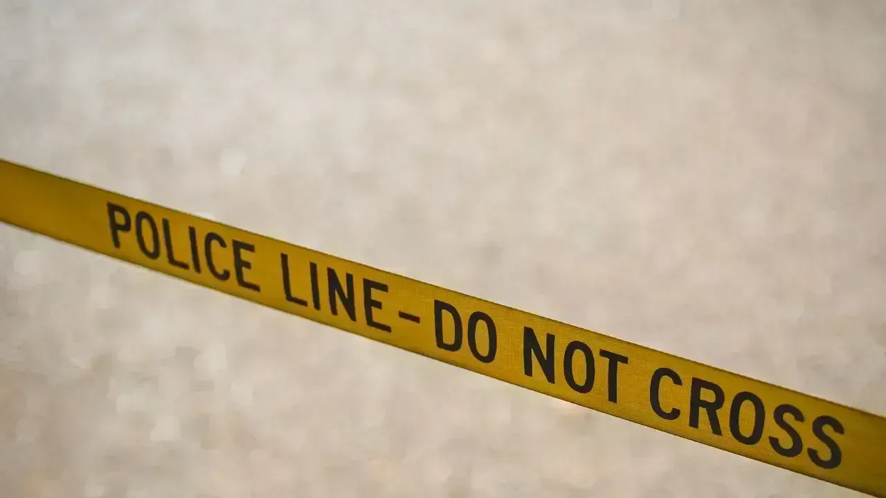 Tragic Stabbing Claims Life in Montreal's Mount Royal Park