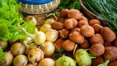 Lebap Farmers Expect Strong Crop Harvests