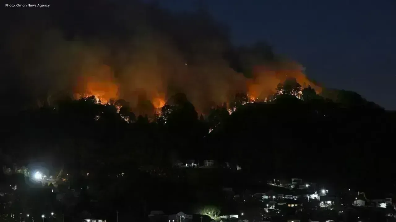 Japan wildfire near control after 7 days blaze