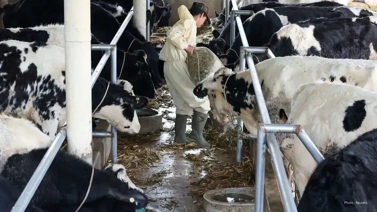Rising Popularity of 6% Fat Milk Hits Ontario Grocers
