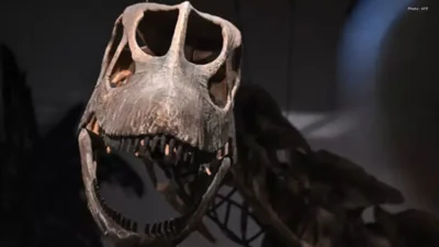 Thailand Unveils Southeast Asia’s Largest Dinosaur Discovery