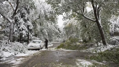 Calgary Braces for Significant Snowfall This Spring