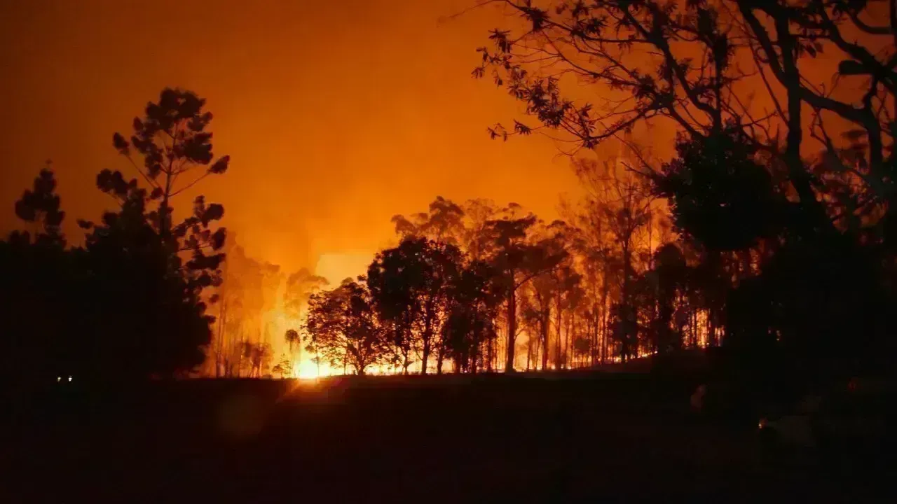 Indonesia Reports Sharp Drop in Forest Fires