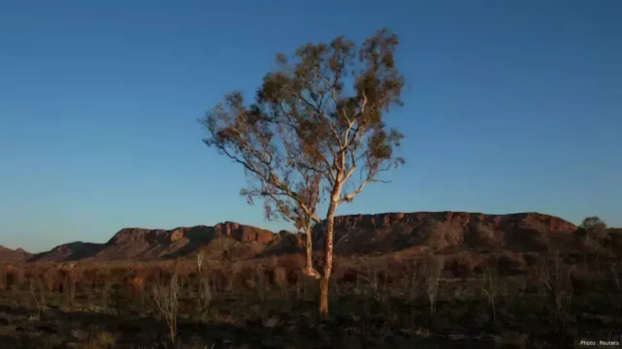 Impact of Climate Change on Global Plant Species