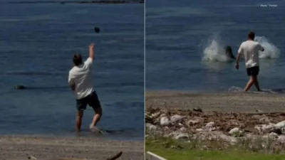 Hawaii Prohibits Access to Beaches for Man Accused of Harassing Endangered Seal