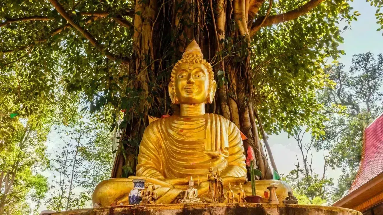 Thailand Invites Public for Bodhi Tree Tribute