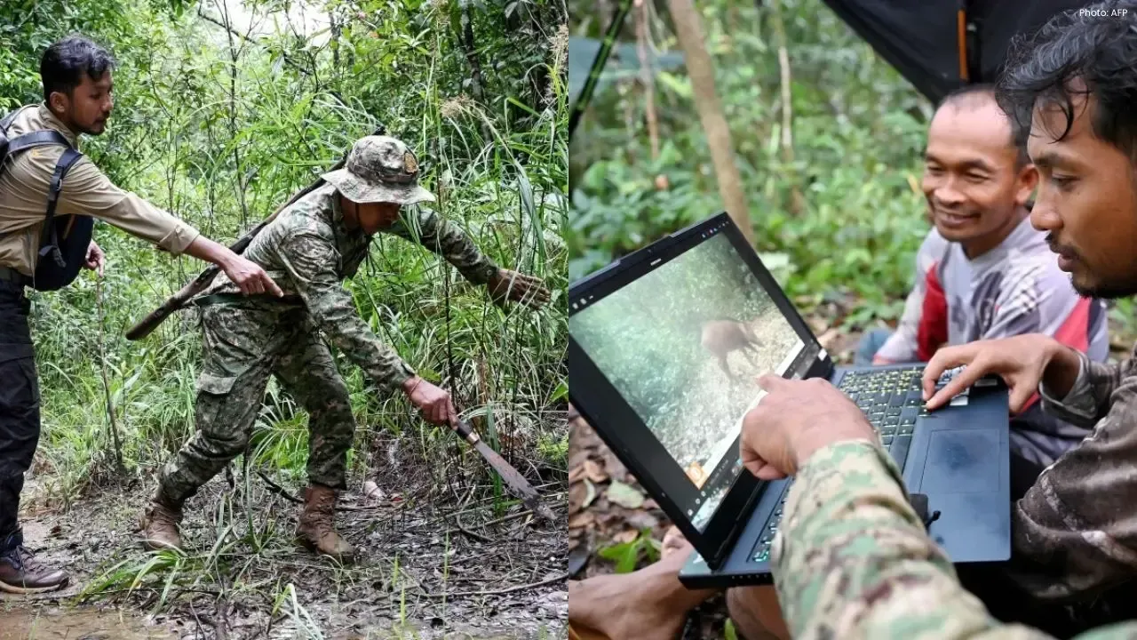 AI, Hidden Cameras Reveal Cambodia's Rare Wildlife