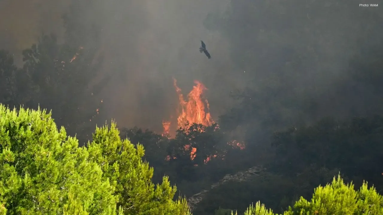 Massive Wildfire Engulfs 800 Hectares in France Amidst Fierce Winds